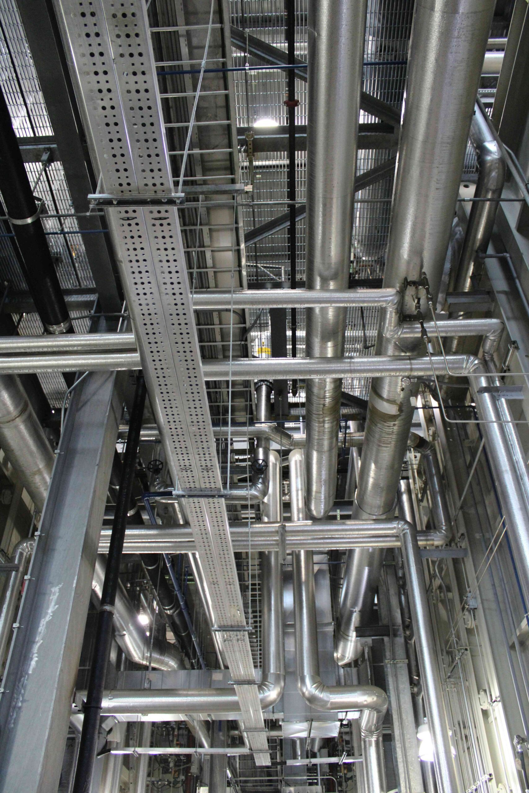 highcompress_pexels-lillian-katrine-kofod-12658691 (1)